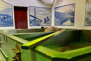 Det bedste af Douro fra Porto: vandretur + besøg + vinprøve + picnic