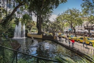 Wycieczka: historia, tradycja i smaki Funchal