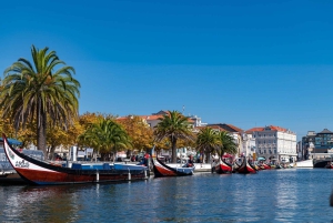 Tur Porto-Aveiro/Costa Nova | halv dag i portugisisk Venezia