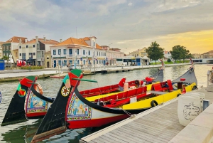 Tur Porto-Aveiro/Costa Nova | halv dag i portugisisk Venezia