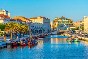 Tur Porto-Aveiro/Costa Nova | halv dag i portugisisk Venezia
