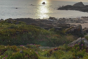 Siirto Porto