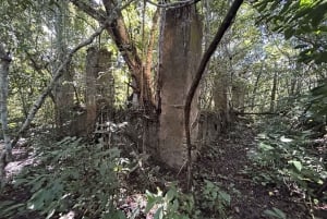 Ubatuba - Praia da Lagoa Trail Circuit