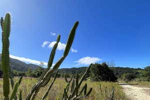 Ubatuba - Praia da Lagoa Trail Circuit