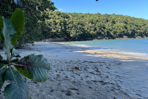 Ubatuba - Praia da Lagoa Trail Circuit