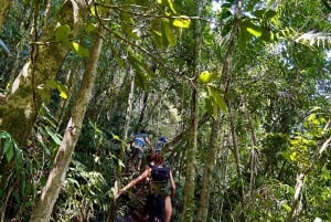 Убатуба - Прайя Брава-де-Итамамбука