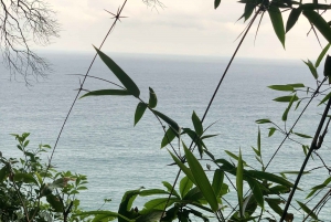 Убатуба - Прайя Брава-де-Итамамбука