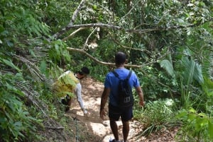 Ubatuba - Trilha 7 Praias