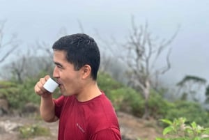 Убатуба - Трилья-Пику-ду-Пиува