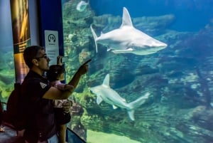 Valencia: Oceanogràfic adgangsbillet