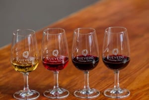 Vila Nova de Gaia: Porto Discovery Verkostung