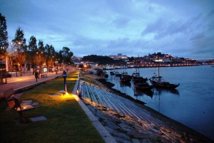 Vila Nova de Gaia private guided city tour