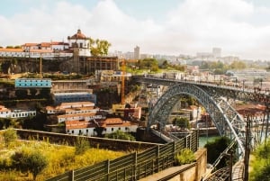 Vila Nova de Gaia private guided city tour
