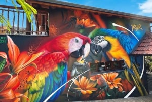 Посещение Птичьего острова Мадейры