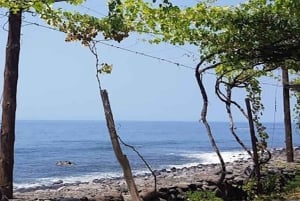 Au départ de Funchal : visite guidée sur le thème du vin de Madère, téléphérique et déjeuner typique.