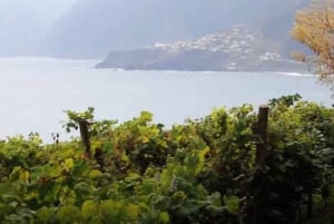Au départ de Funchal : visite guidée sur le thème du vin de Madère, téléphérique et déjeuner typique.