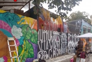 Walking tour in sao Paulo free spot