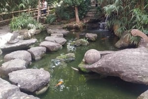 Walking tour in sao Paulo free spot