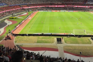 Watch a São Paulo FC game at Morumbi Stadium