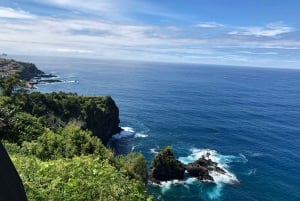マデイラ島西部：プライベート・アイランド・ツアー