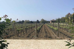 Винный тур и традиционная португальская плитка в туре на полдня