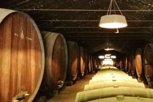 Винный тур и традиционная португальская плитка в туре на полдня