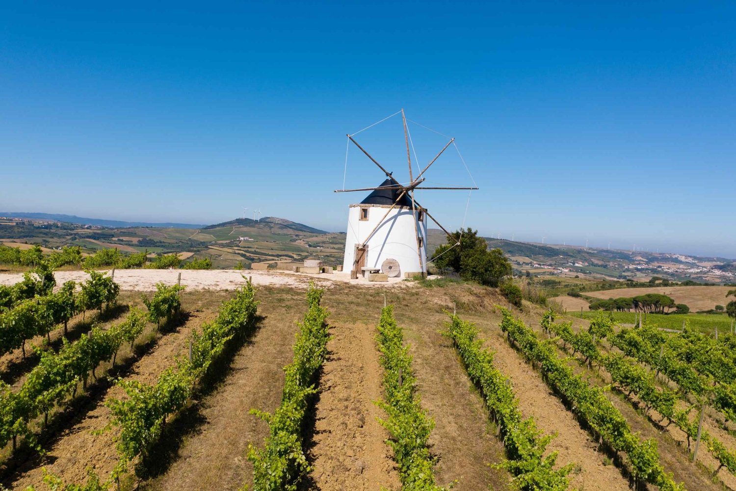 Tour del vino da Lisbona con degustazioni e enologo per un giorno