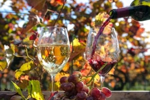 Wein Tour von lissabon mit Verkostungen & Winzer für einen Tag