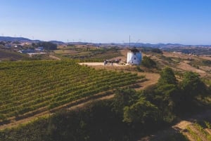 Wein Tour von lissabon mit Verkostungen & Winzer für einen Tag