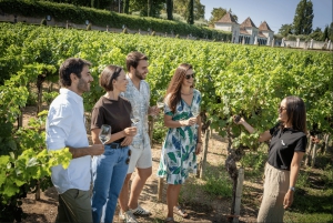 Visita a Bodegas y Mercado de Pescado con Degustación desde Lisboa