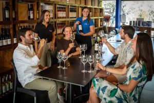 Visita a Bodegas y Mercado de Pescado con Degustación desde Lisboa