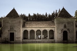 Visita a Bodegas y Mercado de Pescado con Degustación desde Lisboa