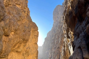 Excursión de 3 días: Embárcate en un viaje de Tabuk al Mar Rojo