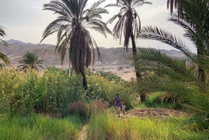 Circuit de 3 jours : Embarquez pour un voyage de Tabuk à la mer Rouge