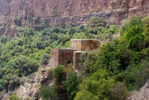 Abha: Al Habala, Shemsan-slottet och Fatima-museet