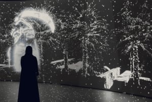 Abu Dhabin kierros: Šeikki Zayedin moskeija, Louvre ja Zayedin museo