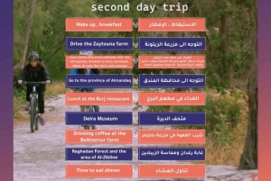 Al Baha 3 Days Trip