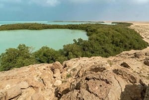 アル・コバールとダンマーム：海と文化と発見の旅をお楽しみください