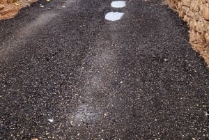 Al-Qasim: Ökensafari, kulturarv och arabisk gästfrihet