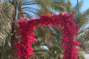 Al-Qasim: Ökensafari, kulturarv och arabisk gästfrihet