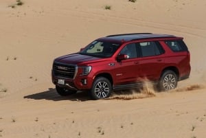 Al-Qasim: Ökensafari, kulturarv och arabisk gästfrihet