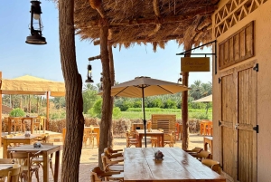 Al-Ula: 2-Day Guided Tour with Desert Exploration