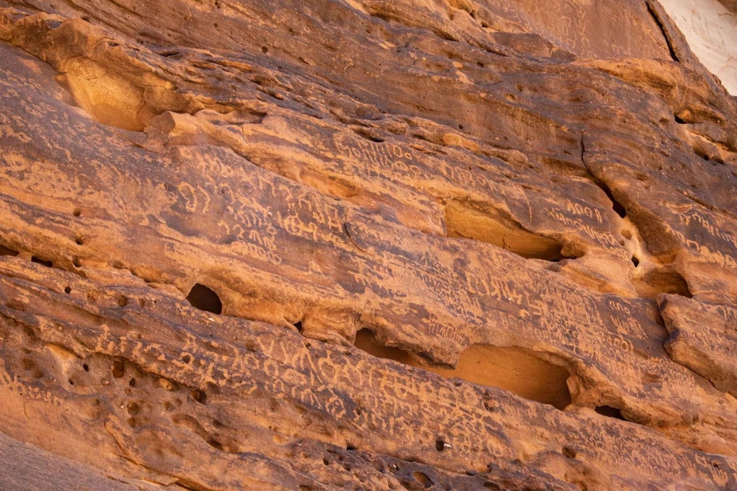 Al-Ula : visite des sites incontournables de Hegra, Dadan et Ikmah