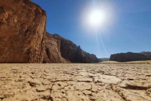 Al-Ula : visite des sites incontournables de Hegra, Dadan et Ikmah