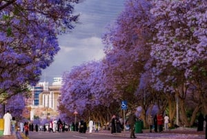 Ganz Saudi-Arabien 14 Tage Tour