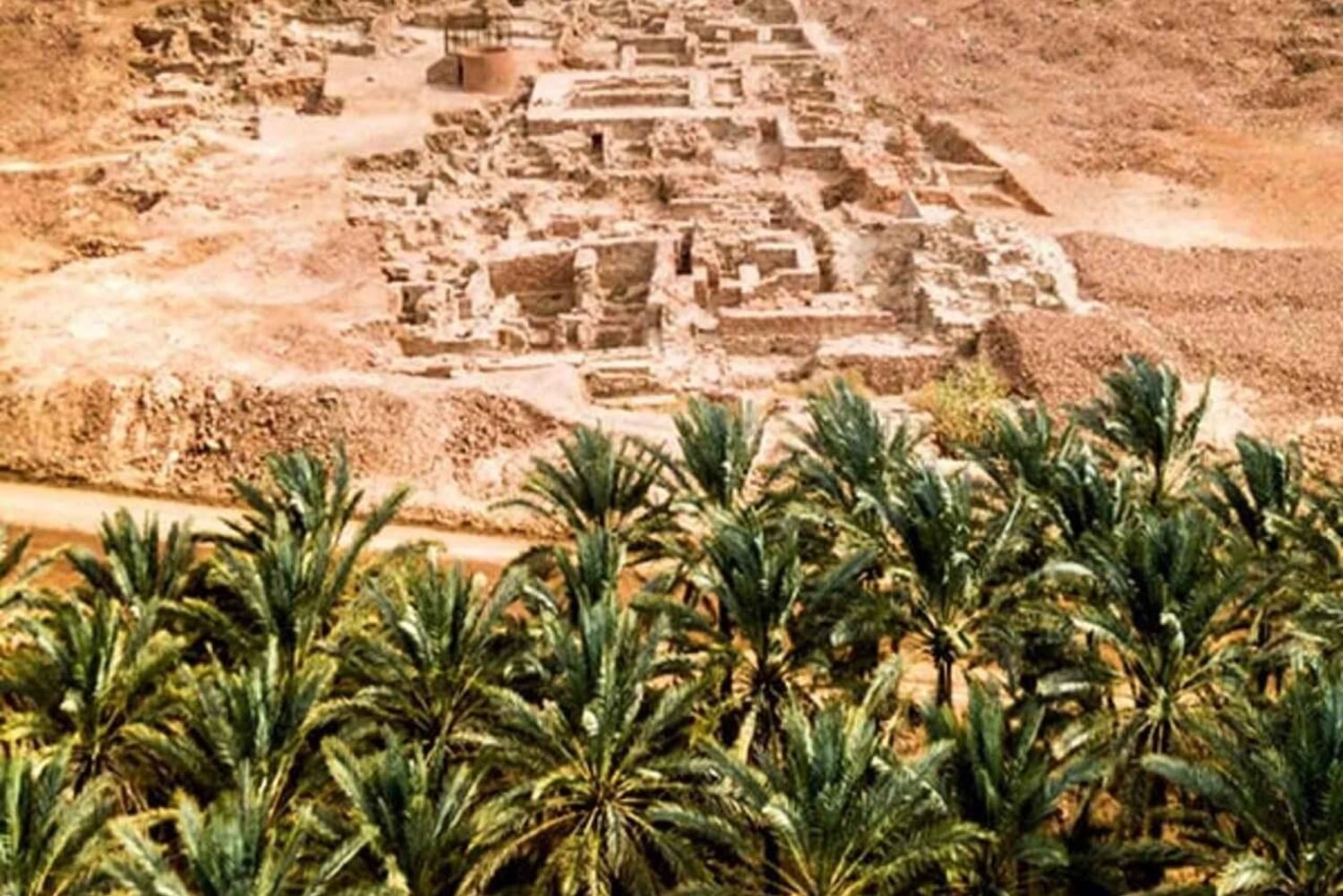 AlUla: Ancient Wonders & City Tour with Lunch