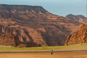 AlUla: Elephant Rock and Hidden Gems Private Tour