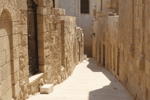 AlUla: excursão de 1 dia em 4x4 com paragens panorâmicas