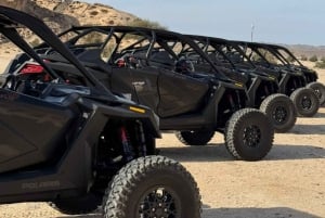 AlUla: Guided Dune Buggy Adventure with Driver