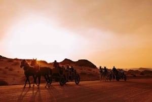 AlUla: Hegra After Dark Show with Chariot Ride